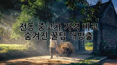 전동 중고차 가격 비교 🚗 숨겨진 꿀팁 대방출!